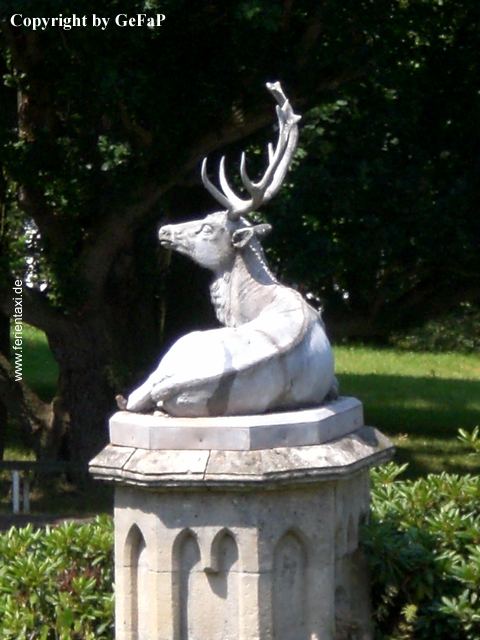 EiO.6 CIMG0089