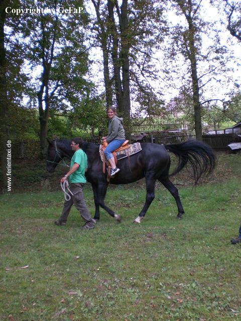 L Rei CIMG0522