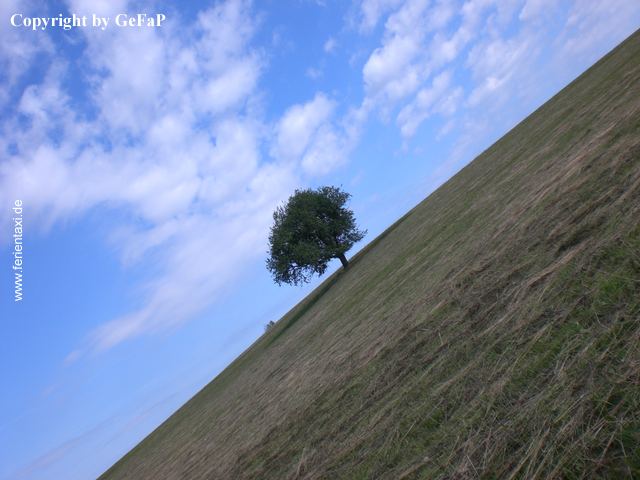 TW 1 CIMG0018