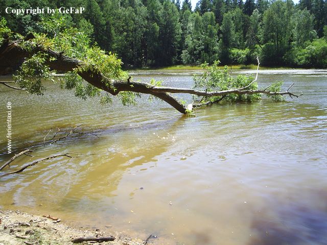 TW 30 PIC_0046