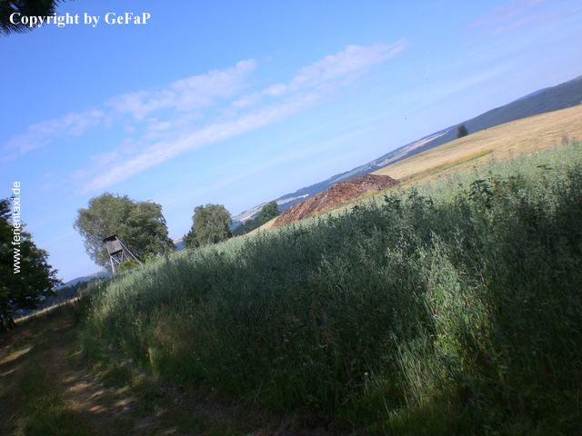 TW 5 CIMG0022