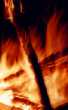 G LF lagerfeuer