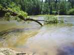TW 30 PIC_0046
