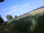 TW 5 CIMG0022