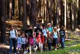 TW 59 mammutbaumpark