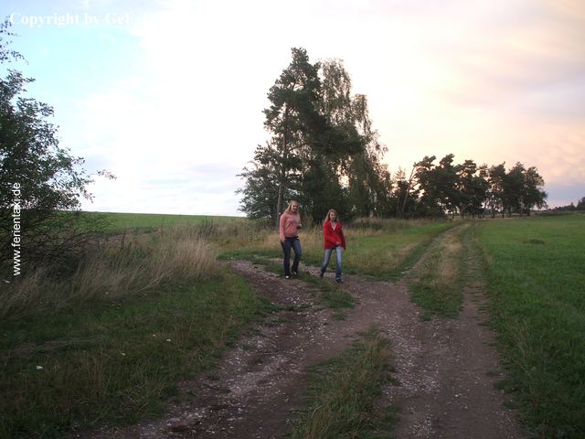 8TW33 DSCF0214