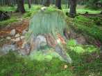 8TW19 PIC_0078