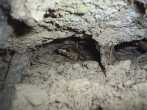 8TW20 PIC_0093