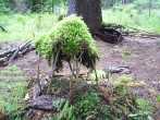 8TW25 PIC_0087