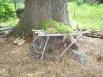 8TW26 PIC_0088