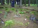 8TW27 PIC_0081