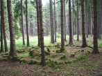 8TW28 PIC_0116