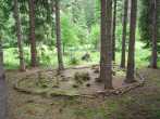 8TW29 PIC_0115