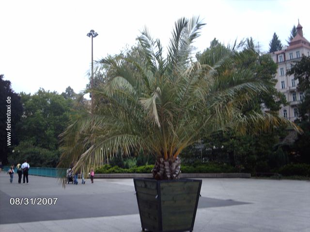 KV02IMAG0218