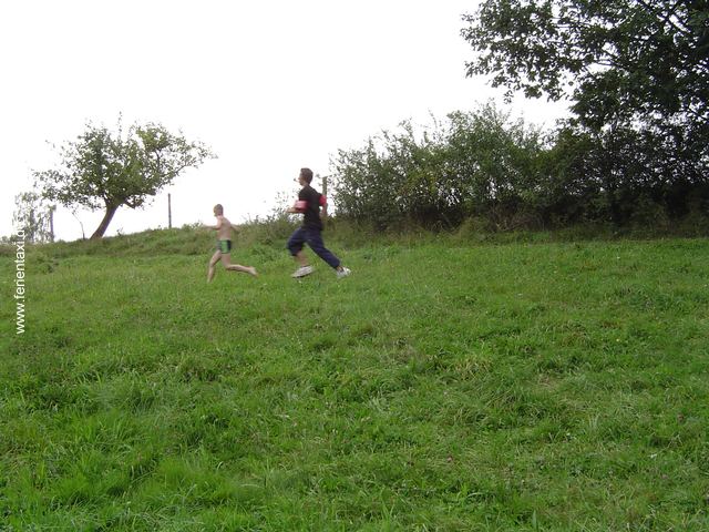 NF10DSC03506