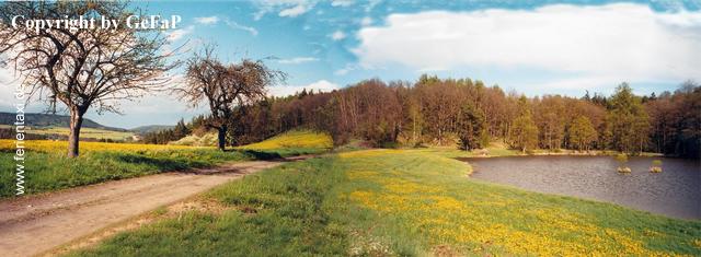 Bade-Karpfenteich