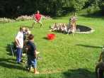Bild 020